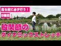【ランニング教室】走る前に行いたい！股関節まわし～脚ブンブン　5つの股関節ダイナミックストレッチ・ルーティン編【保存版】