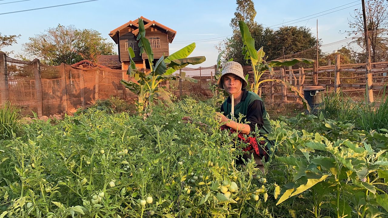 พาพี่น้องเข้าแต่สวนนี่แหละจ้าอย่าเพิ่งเบื่อกันเด้อจ้า