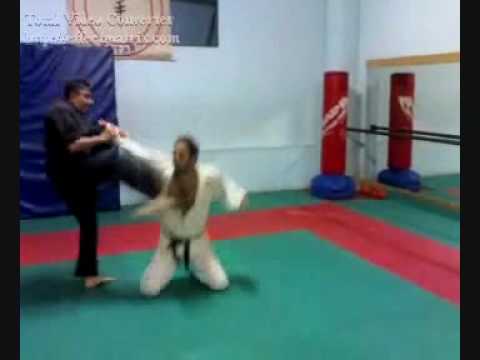 Dimostrazione di jujitsu - maestro zizzo shinken s...