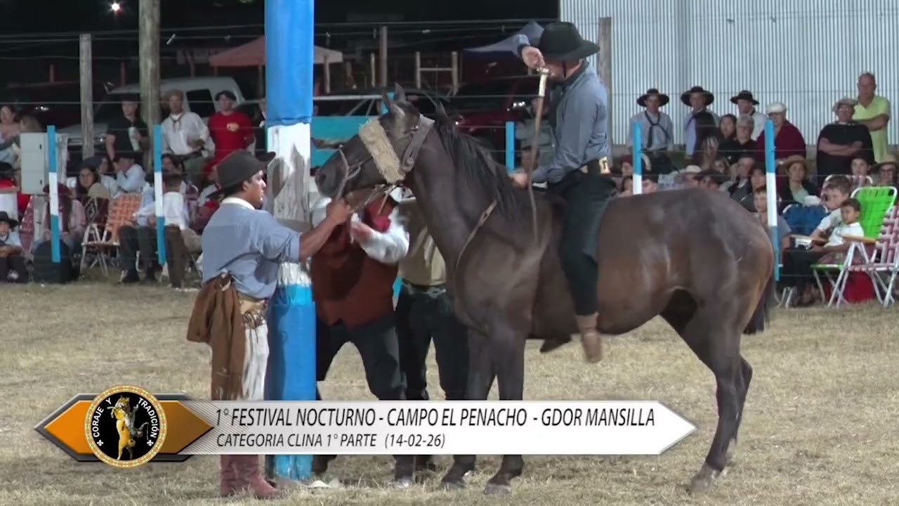 05 CATEGORÍA CLINA 1° PARTE