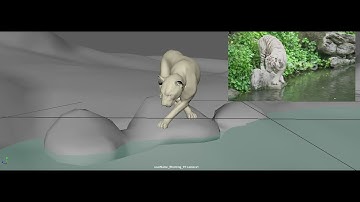 Tiger blocking animation