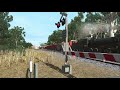 trainspotting in trainz