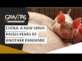 Gravitas: China | A new virus raises fears of another pandemic