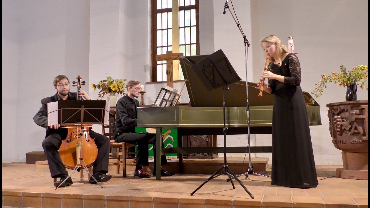 G.Ph.Telemann | Sonata for recorder and continuo d-moll TWV 41:d4 | Lausitzer Barockensemble-Solists