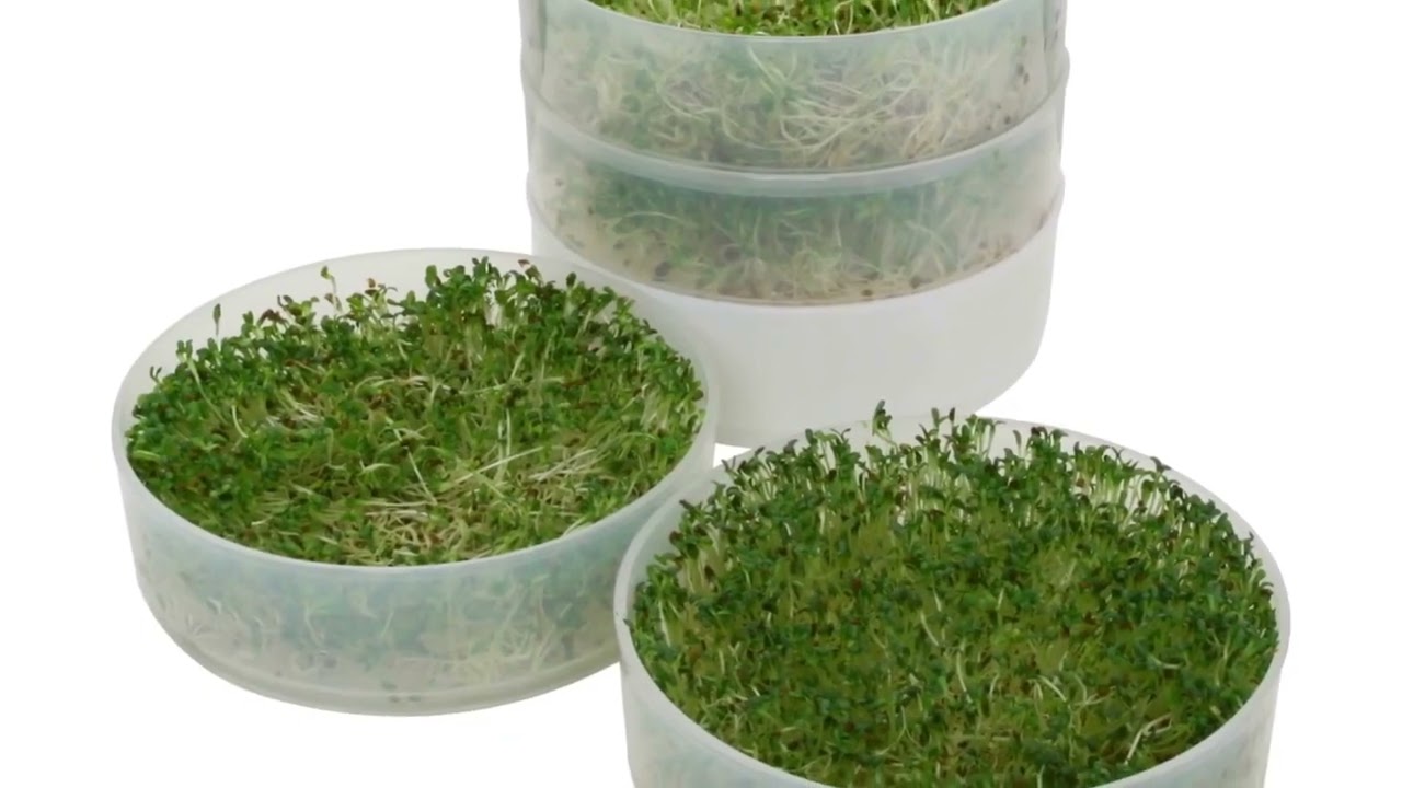 Kitchen Crop Sprouter - How to Use - VKP1014