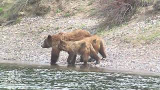 399 and the Quads Crossing the Snake River in Grand Teton National Park