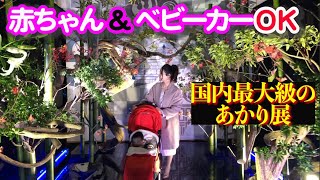 【生後６ヶ月】赤ちゃんとお出かけ「江戸東京あかり展」/ベビーカーOK