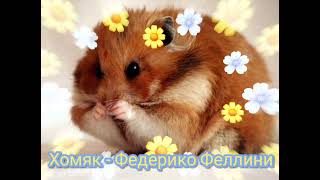 Хомяк - Федерико Феллини|Шоу "Маска-4"|[1-Выпуск🐹]