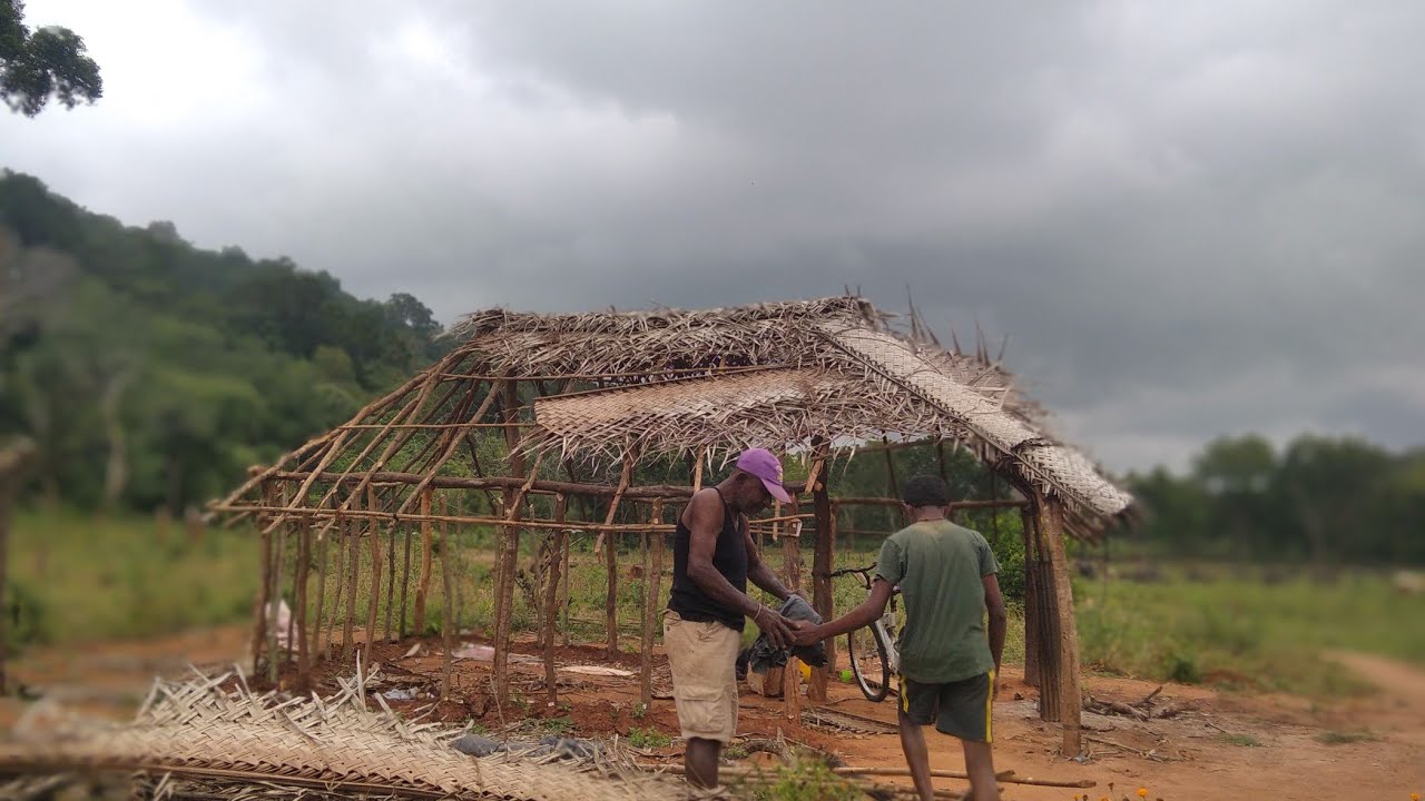 මුතුමාල මාමගේ වාඩ්ය කැඩුවා| 🌾 හේන් කරලා අවසන් කාළය ඉතිම් දැන්🌿#vadiya 