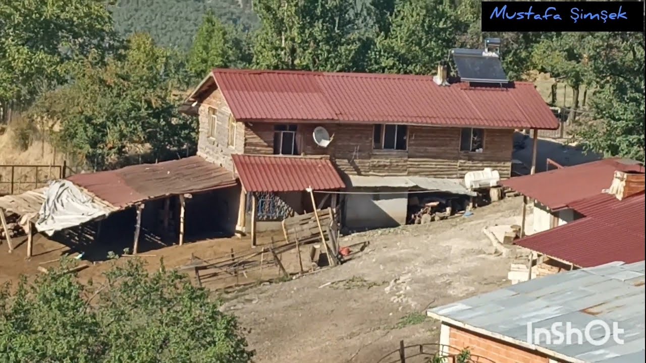 Çiftlik hayatı Tokat Reşadiye Soğukpınar Nazim Ercikti