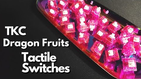 DragonFruit Tactile Switches Soundtest on Vega 65! / Keyboard Sound Test ASMR