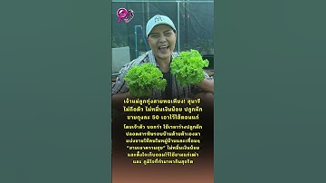 Thumbnail of เจ้าแม่เพลงลูกทุ่ง ! สุนารี ไม่ถือตัวไม่หมิ่นเงินน้อย ใช้ชีวิตพอเพียง ปลูกผักขาย ตั้งใจเก็บออมเงิน