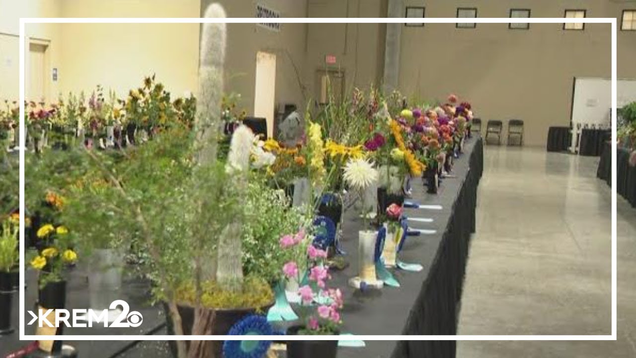 Checking out the open floral show at the Spokane County Fair