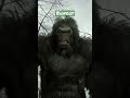 Bigfoot you can watch this movie and much more on bizzarro madouse channel movie asylum horror