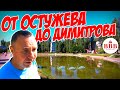 Воронеж. Ленинский проспект. Что случилось с Лебединым озером?