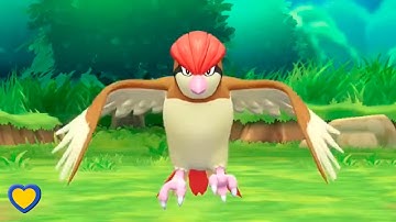 HOW TO GET Pidgeotto in Pokémon Let
