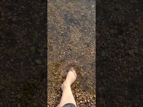 Nature sounds ASMR