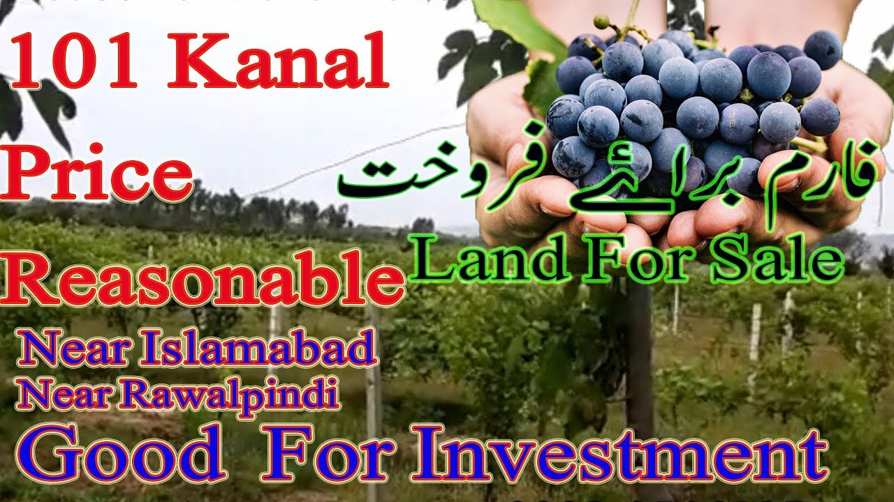 101 kana l Grapes Farm Malta Amrood Farm House for sale
