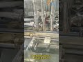 Double Row Paste Piston Filling Machine, Chili Sauce Bottle Filler