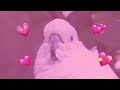 Wholesome parrots dancing (In real life)