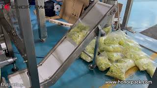 Fresh vegetable salad vertical form fill seal machine_Metal detector@Saudi Arabia