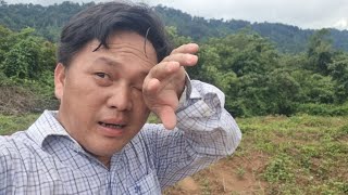 mus saib av cog ntoo yas kim kawg lis mus saib av cog ntoo yas kim kawg lis