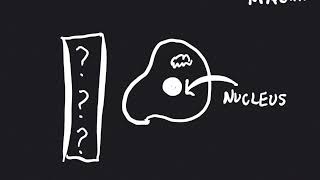 Why are we different from bacteria?
How did complex living forms like plants, birds, and animals emerge? Harvard University graduate student Tanush Jagdish explores how the answer to this question may lie in early evolutionary events billions of years ago. Why are we different from bacteria?