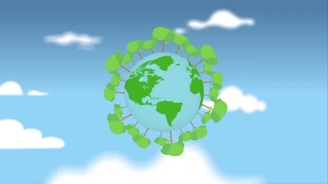 Sumate al Ecolavado y plantá tu árbol