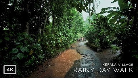 Rainy day walk in a Kerala village | Relaxing ASMR nature sound for deep sleep, meditation & study