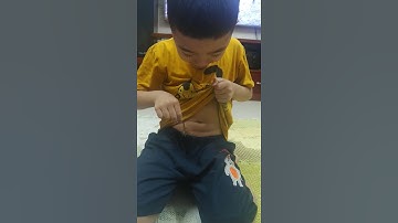 Chuồn Chuồn cắn rốn