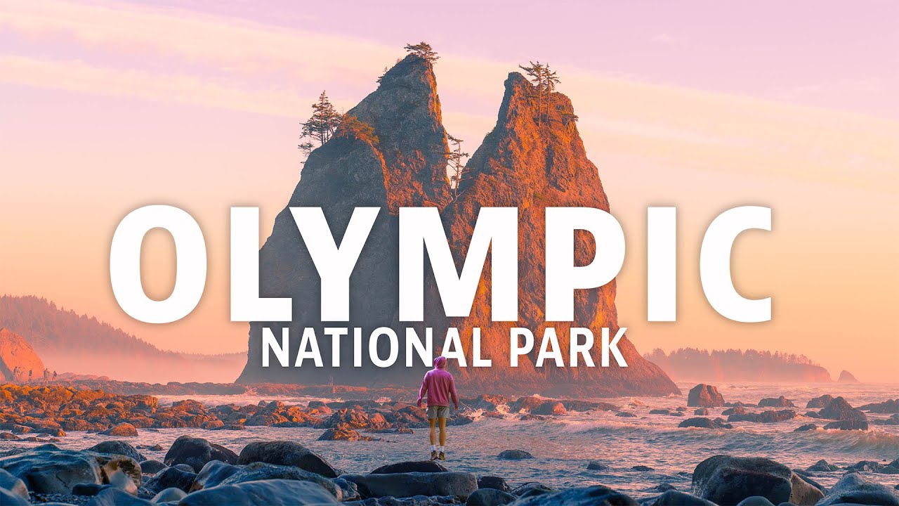 My Top 3 Hikes & Viewpoints in Olympic National Park