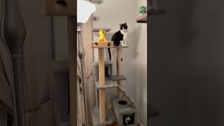 Max, Peggy, And Tammy Hanging Out