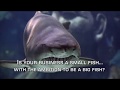 BizEdge - Sahuarita&#39;s Shark Tank - 2018