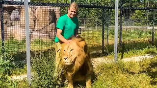 Only Oleg Zubkov can protect me from the close attention of this lion!