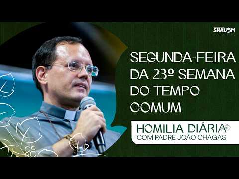 Homily for Monday of the 23rd Week in Ordinary Time | Fr. João Chagas | 09/07/2026