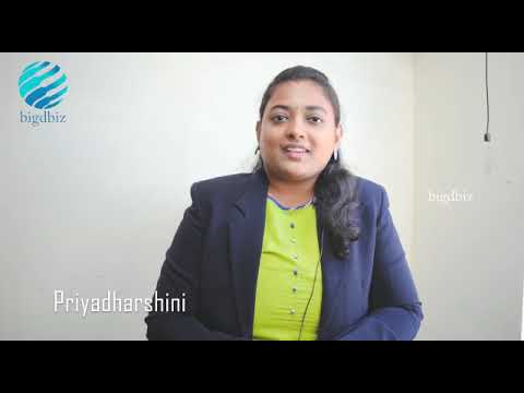 About Bigdbiz - Short Introduction - video from OnlineBigmart