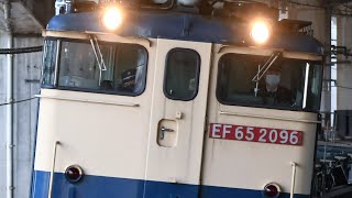 【年末のみに見れる長編成の貨車回送】EF65-2096号機(代走)+コキ20両 臨配8791レ(所定EF210運用)赤羽駅6番線通過