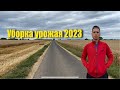 Уборка урожая 2023. Уборка пшеницы. Тюкование соломы. Урожай 2023.