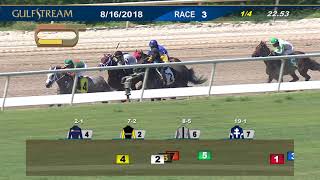Gulfstream Park Carrera 3 - 16 de Agosto 2018