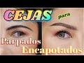 CEJAS para PARPADOS ENCAPOTADOS | auroramakeup