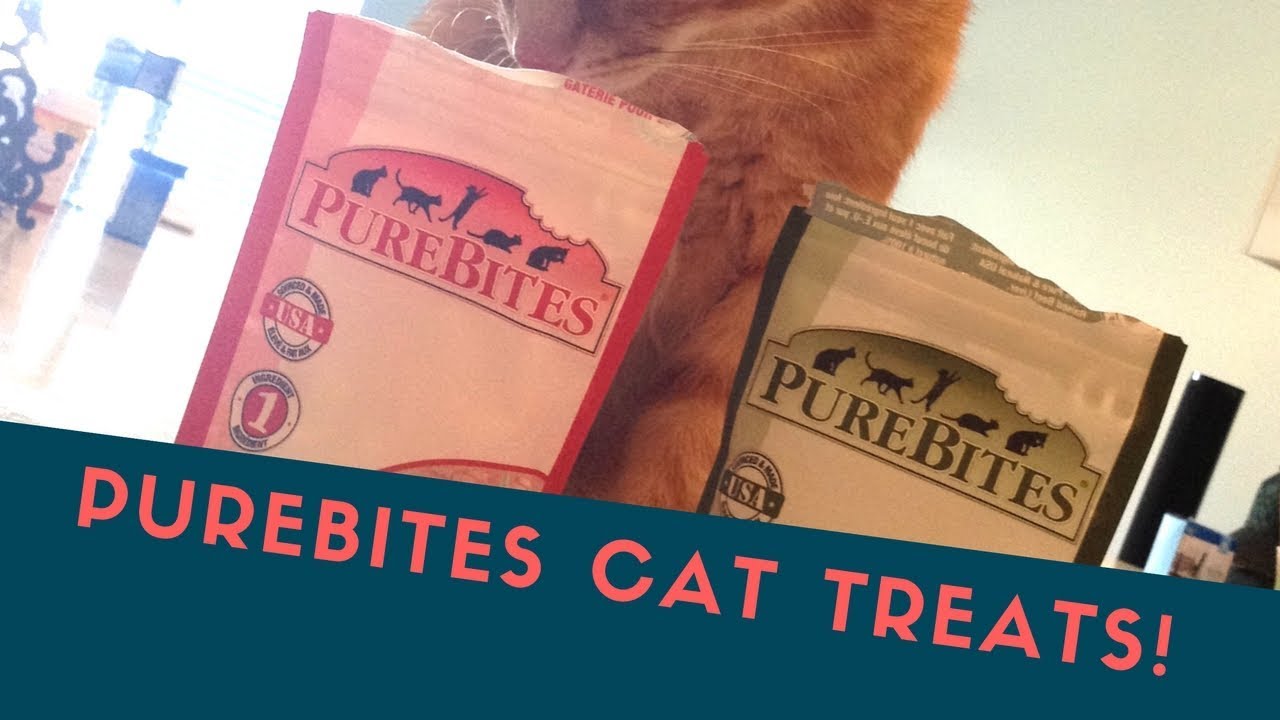Purebites Cat Treats! YouTube