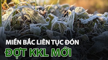 Đầu năm liên tục đón các đợt không khí lạnh mới | VTC14