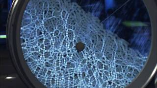 Science Storms - Force Chains
