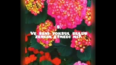 Duha suresi turkce mealisi ALAFFASI SESIYLE . EMINIM AĞLAYACAKSINIZ سورة الضحى مترجمة للتركي