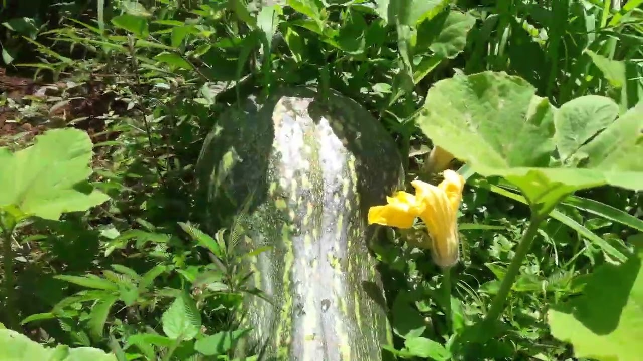 18 de janeiro de 2026