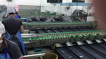 Sorting Aji by Yokozaki in a large scale factory project