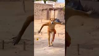 my video