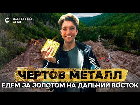 видео: Золотые реки. Как добывают драгоценный металл