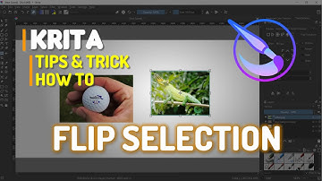 Krita How To Flip Selection