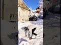 Europe snowfall ☄️☃️☄️❄️🥶 #shorts #shortsfeed #trendingreels #trendingshorts #viralshorts #snowfall